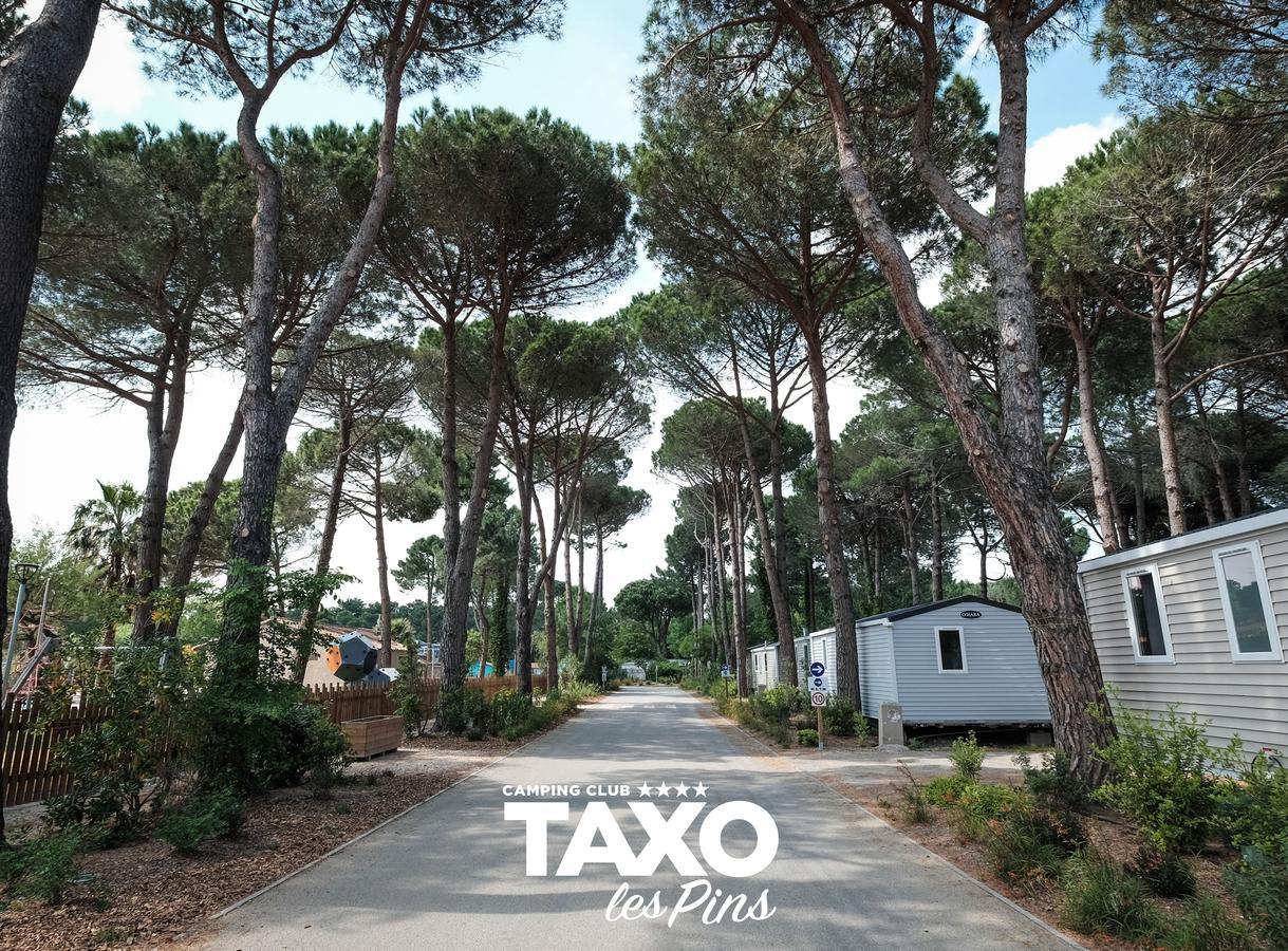 Camping Taxo Les Pins Аржель-сюр-Мер Экстерьер фото