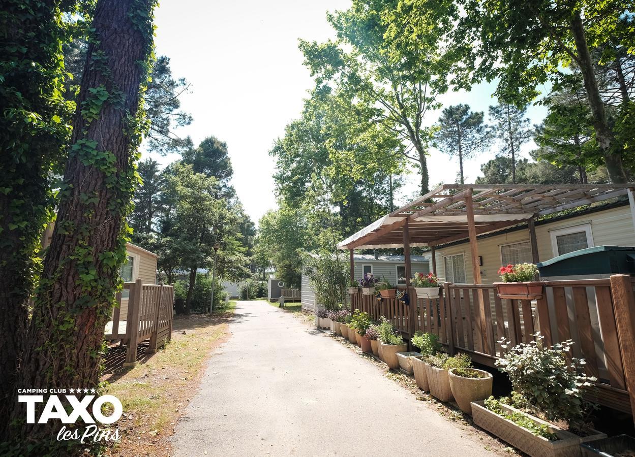 Camping Taxo Les Pins Аржель-сюр-Мер Экстерьер фото